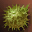 icon etc_cobol_i07