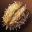 icon etc_coda_i05